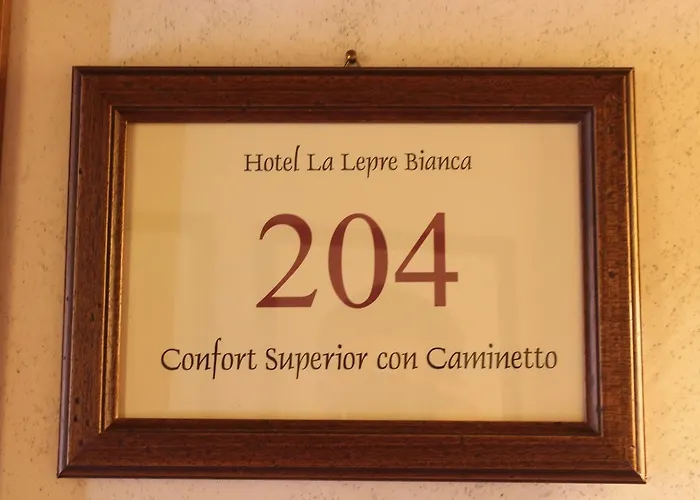 La Lepre Bianca Gallio